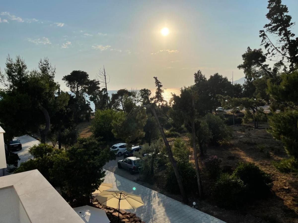 באר Zia Apartments מראה חיצוני תמונה